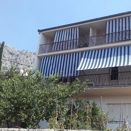 伊维卡公寓式酒店 奥米什 外观 照片